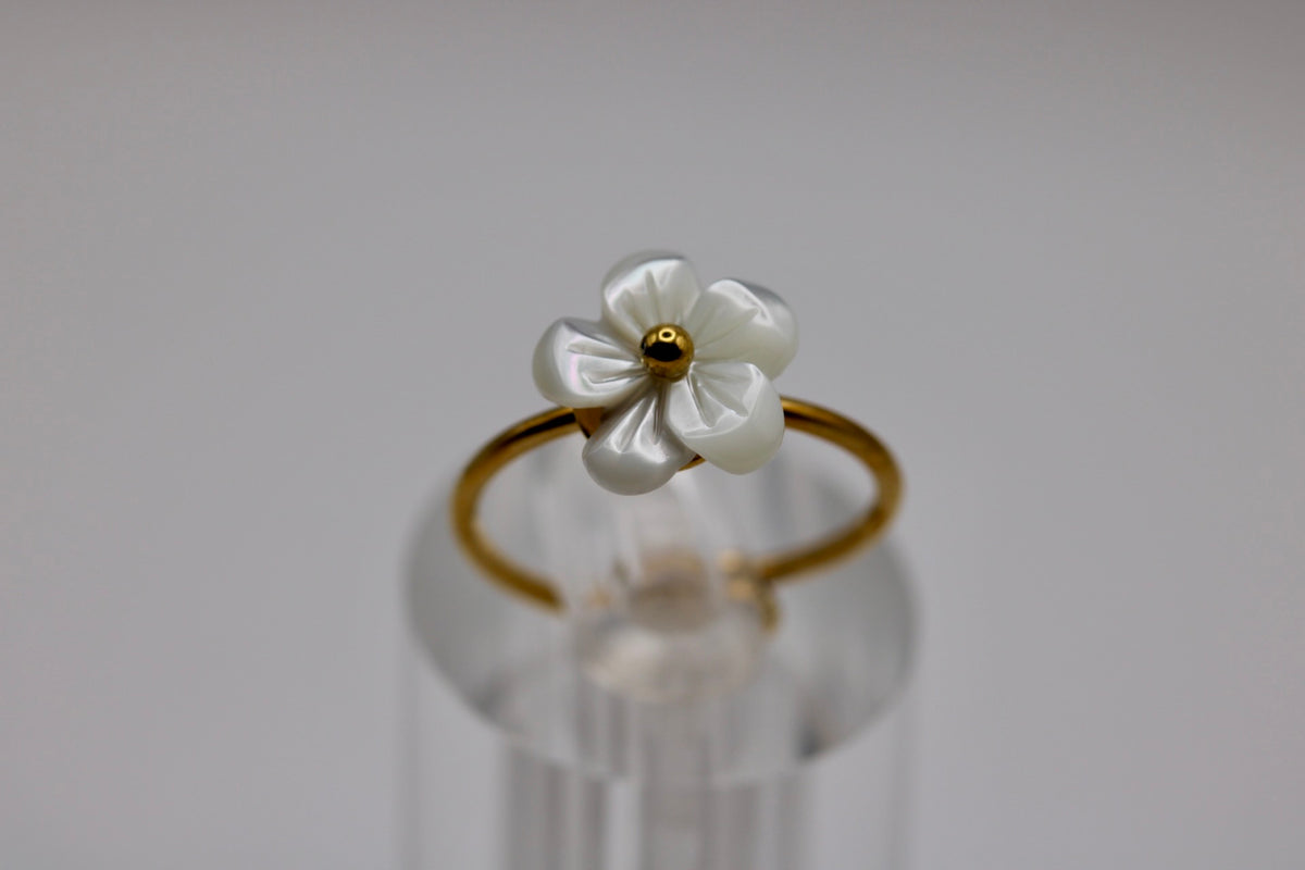 The Caspia Ring