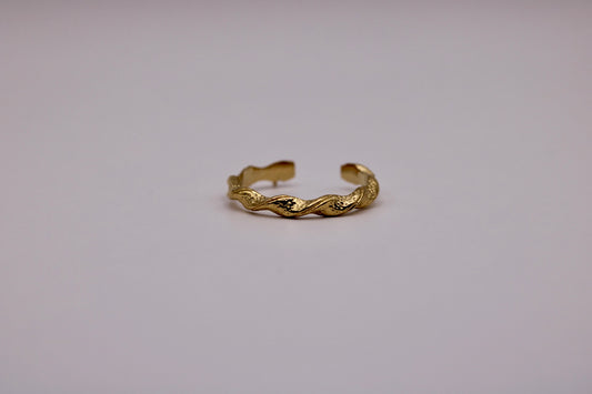 The Faye Ring