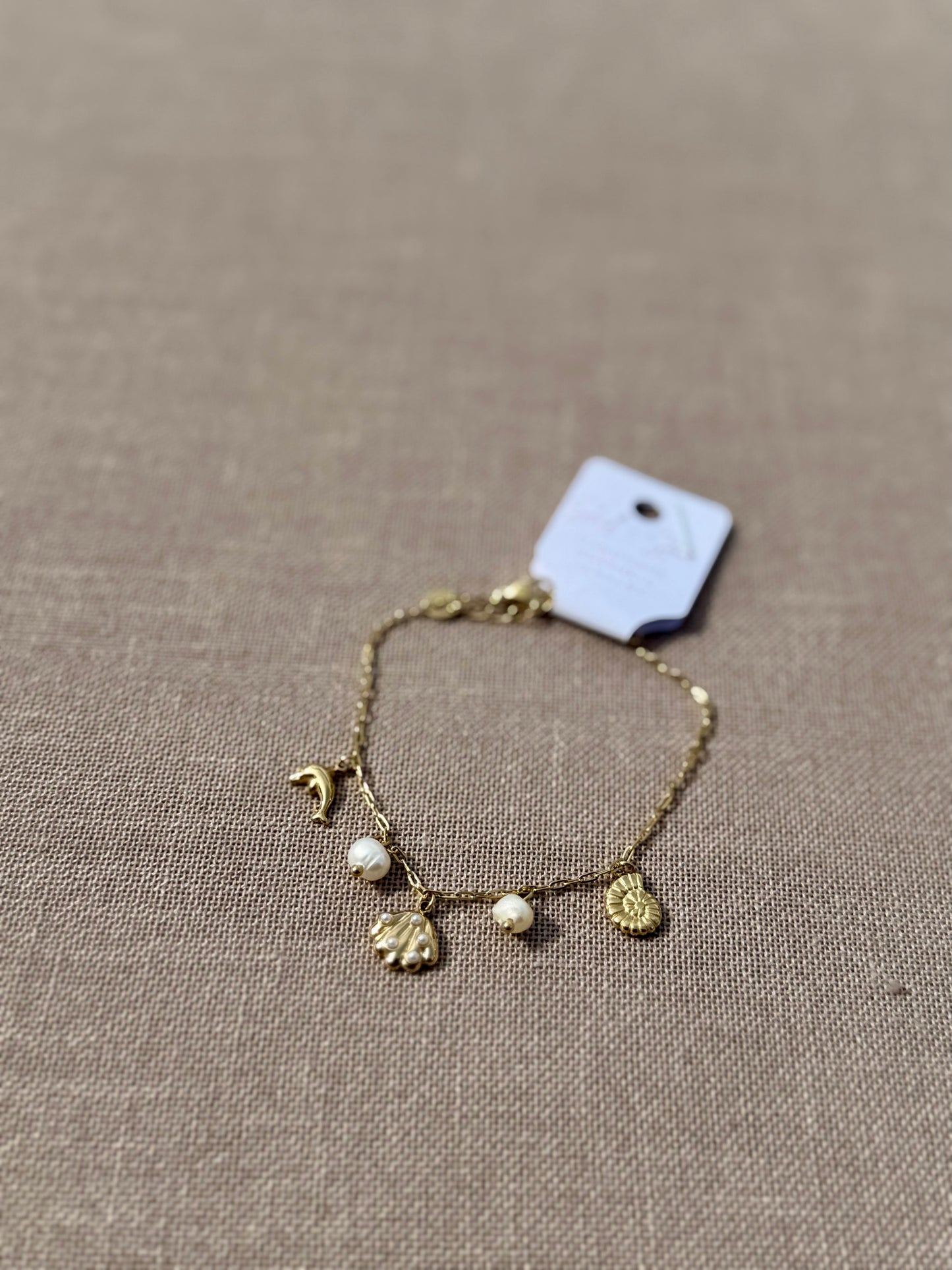 Coast + Charm Bracelet in Silver + Gold