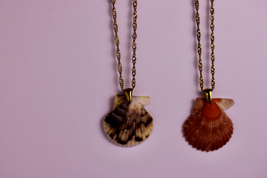 Florida Found Scallop Necklace