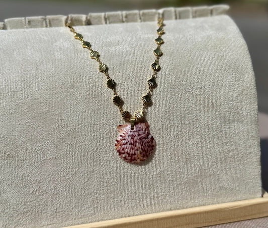 The Maris Necklace - Sunburst Seashell Edition