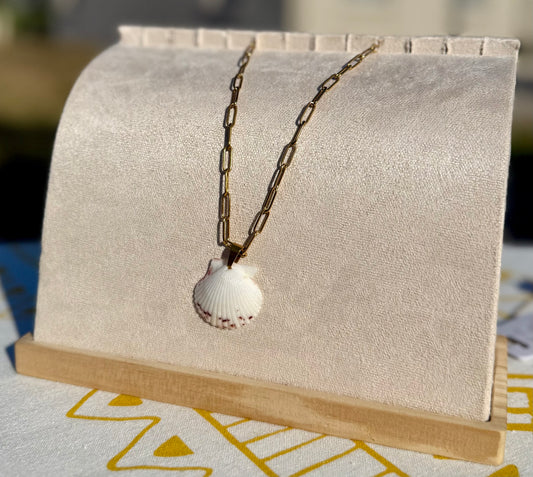 The Paperclip Necklace- Rare White Seashell