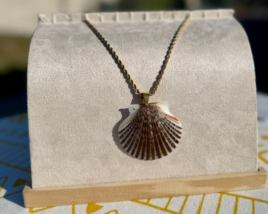 The Braid Necklace- Rare Seashells Edition