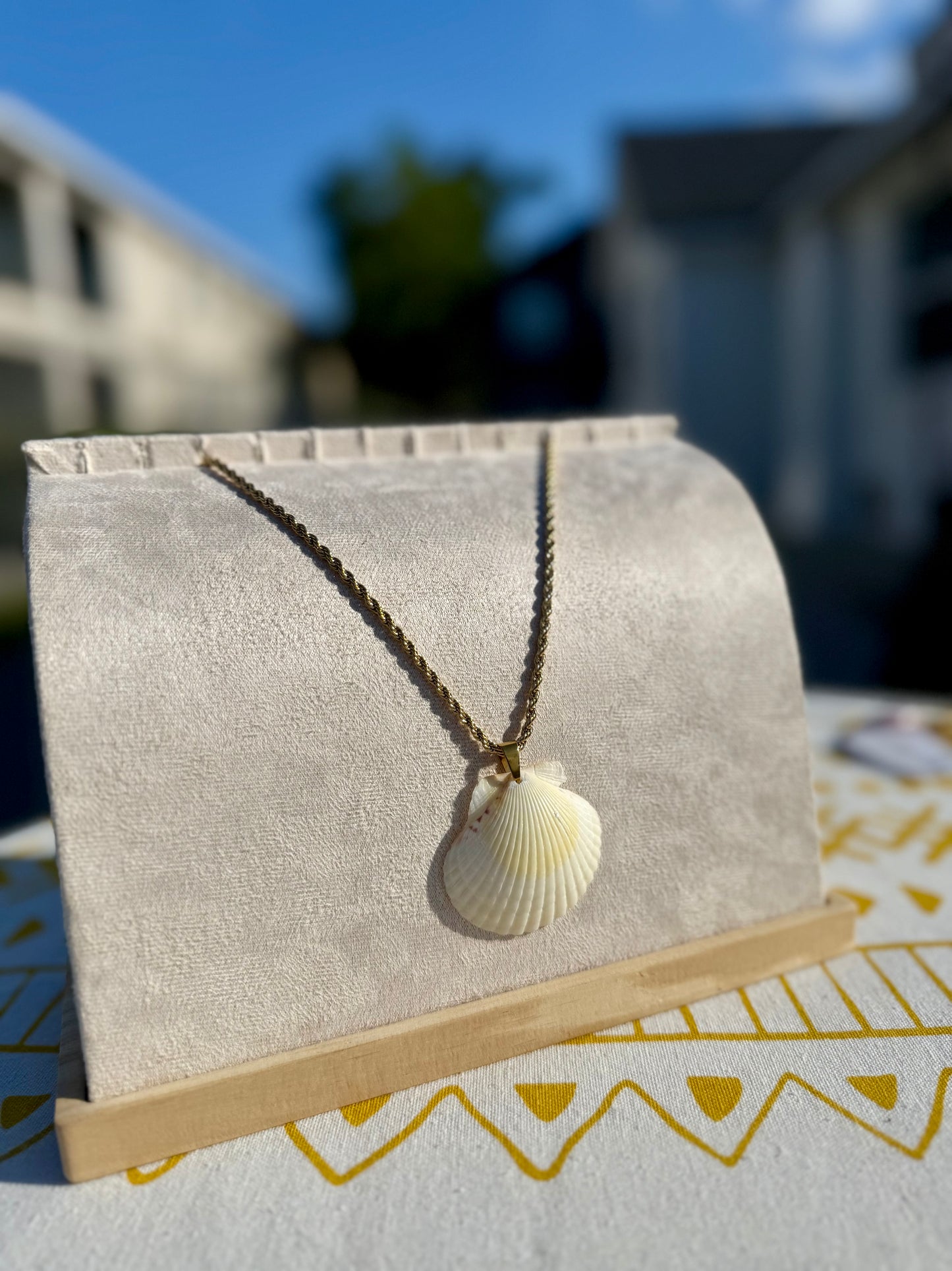 The Braid Necklace- Rare Seashells Edition