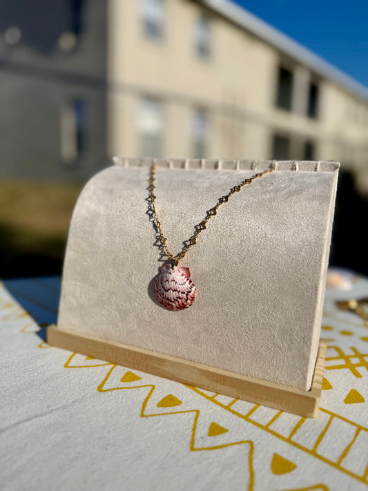 The Clove Necklace- Rare Seashell Edition