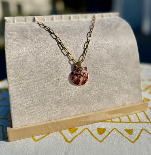 The Paperclip Necklace- Rare Seashell