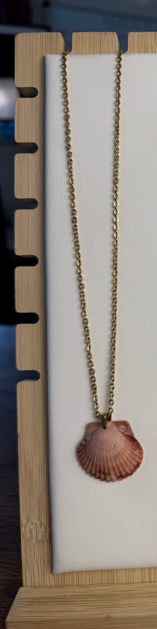 Seashell Necklace on Salty Chain