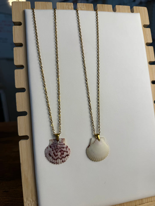 Seashell Necklace on Salty Chain