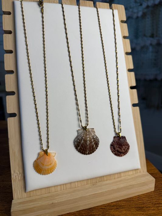 Seashell Necklace on Singapore Chain