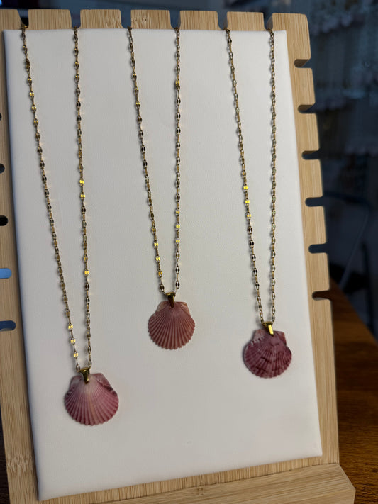 Seashell Necklace on Current Chain