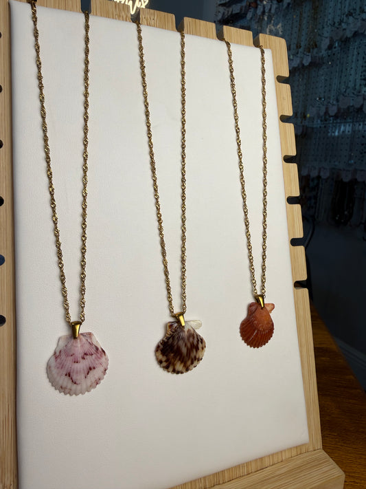 Seashell Necklace on Malibu Chain