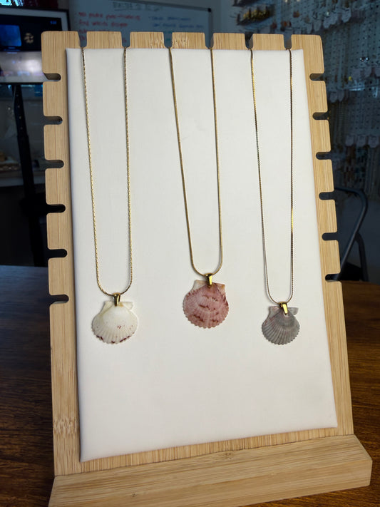 Seashell Necklace on Sandbar Chain