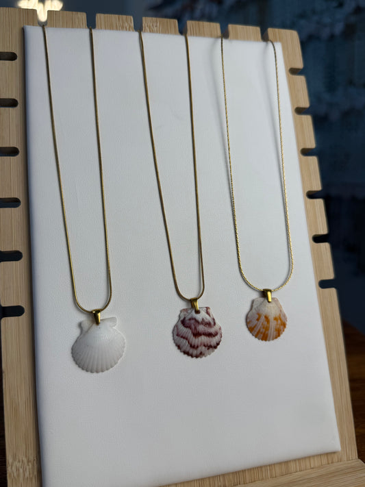 Seashell Necklace on Sandbar Chain
