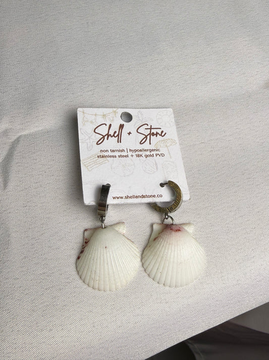Various Seashell Earrings - Silver Hoops