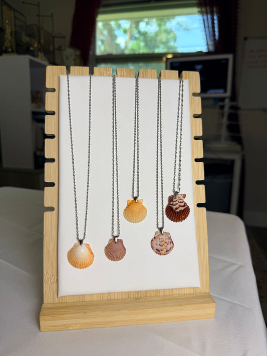 Seashell Necklace on Silver Singapore Chain