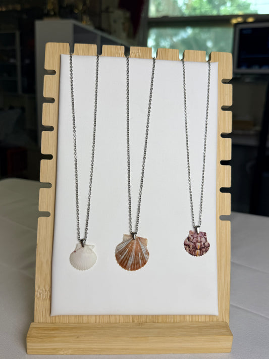 Seashell Necklace on Silver Salty Chain