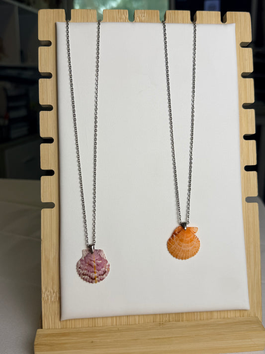 Seashell Necklace on Silver Salty Chain