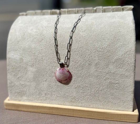The Silver Paperclip Necklace - Rare Seashell Edition