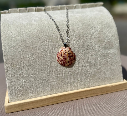 The Silver Lover Necklace - Amber Reef Seashell Edition