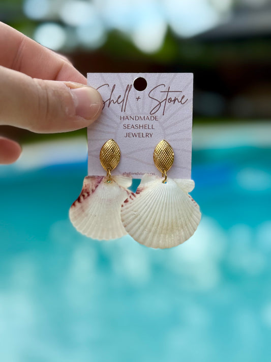 Ivory Scallop Studs