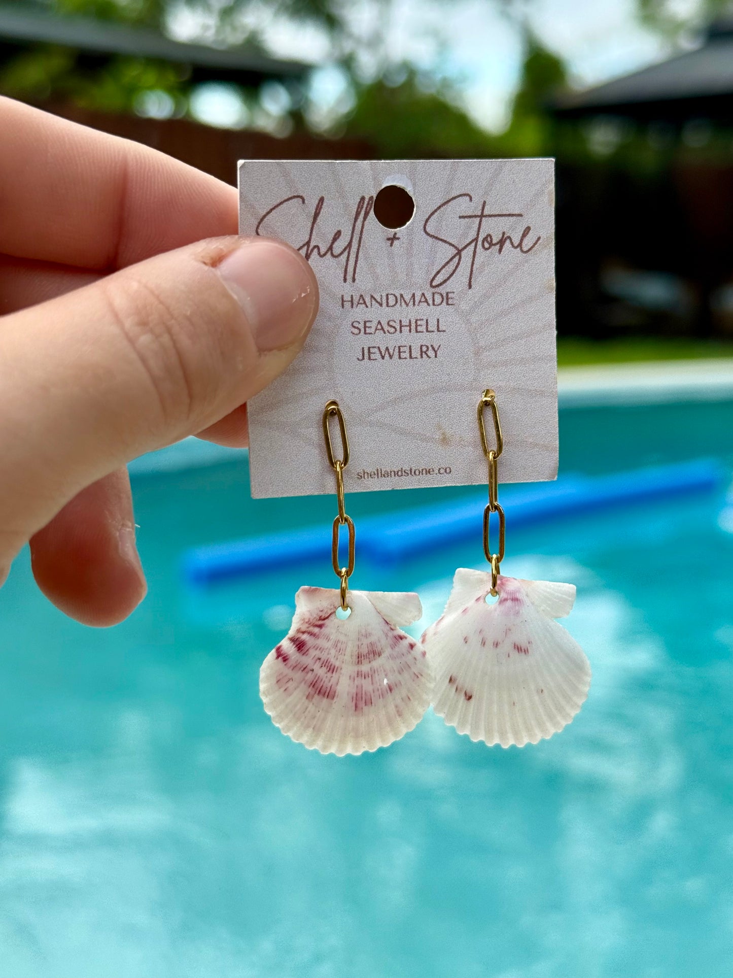 Coastal Link Seashell Studs