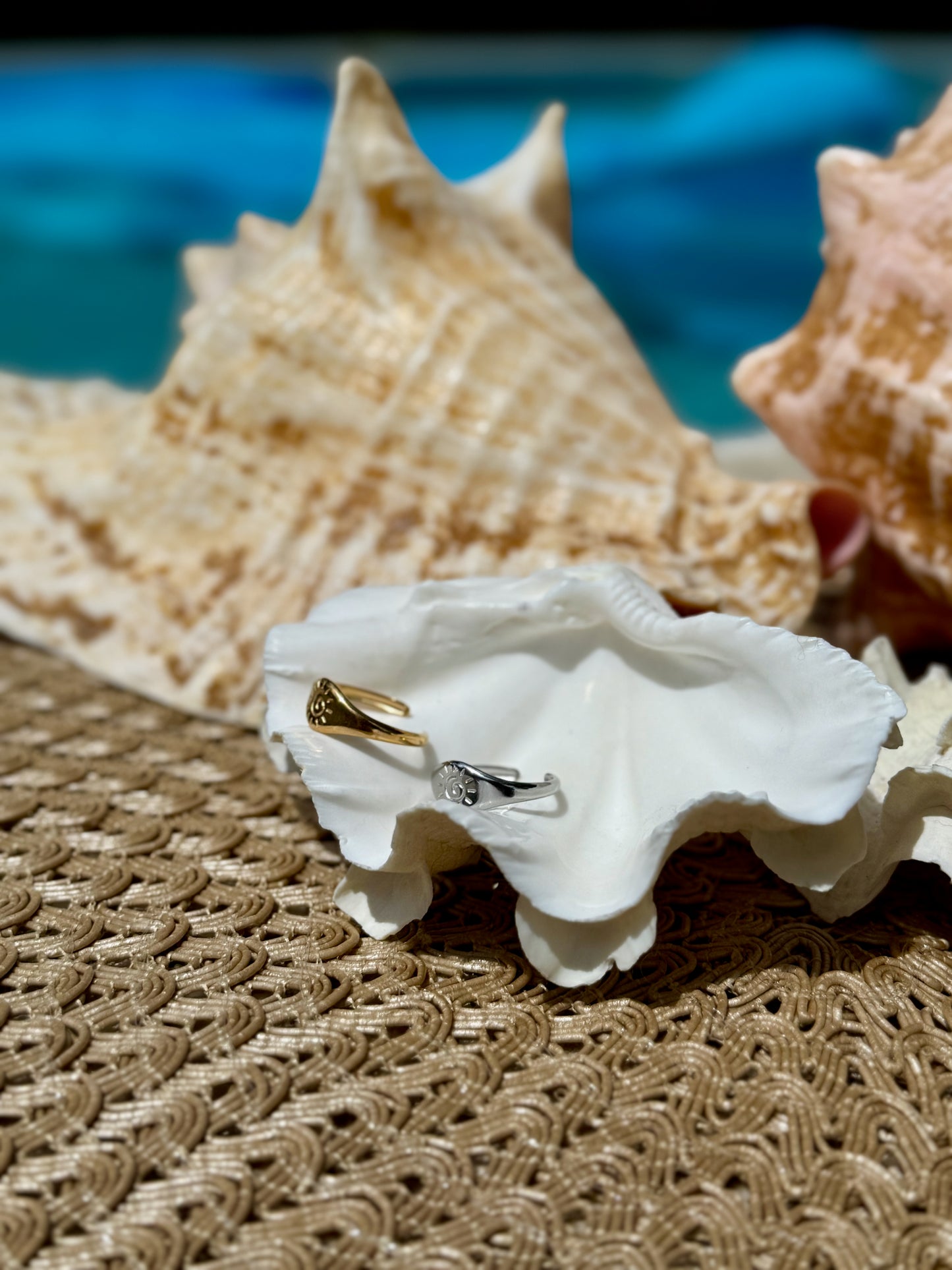 Brisa Ring in Silver + Gold