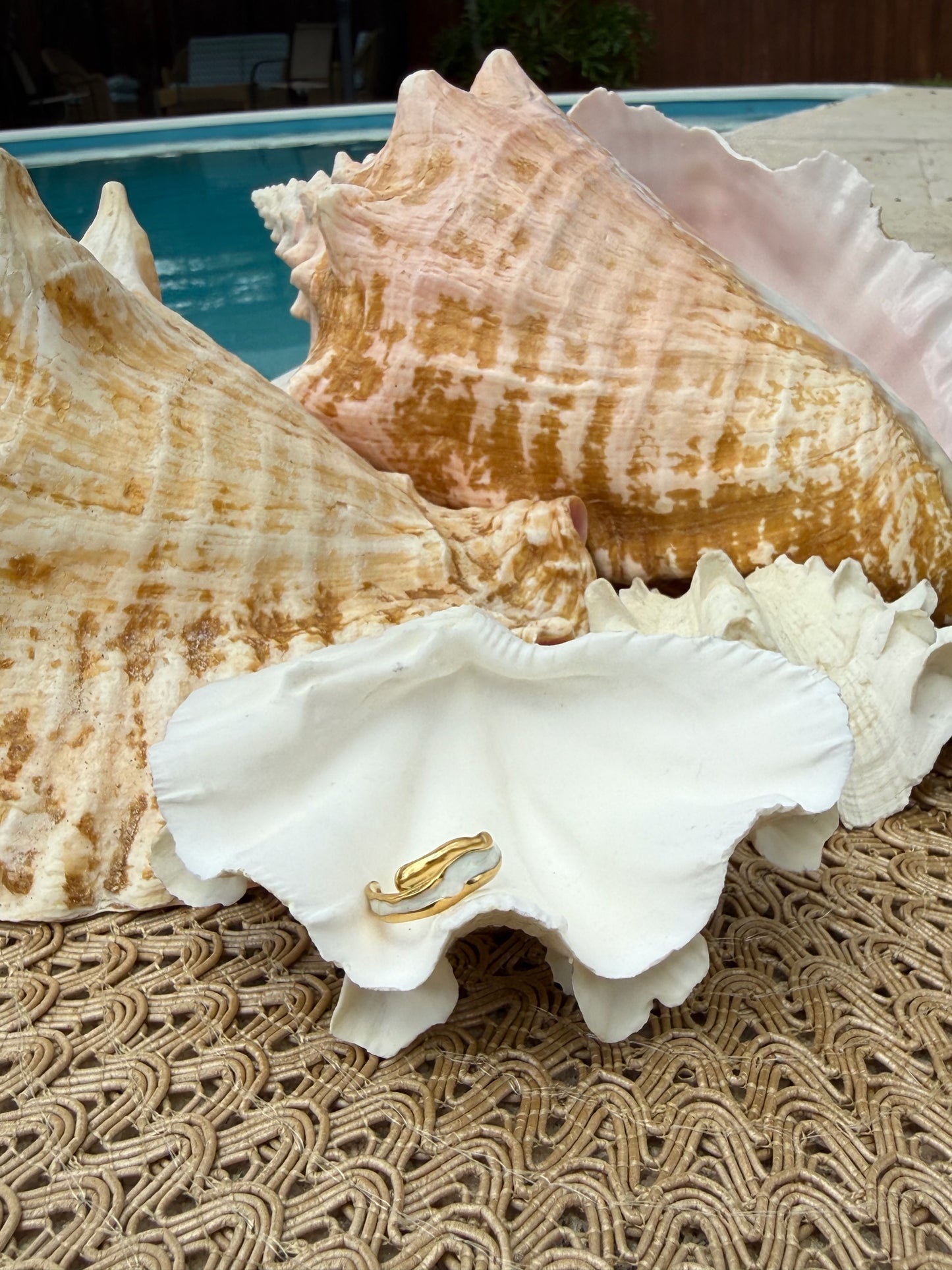 Bryar Ring in Black + White