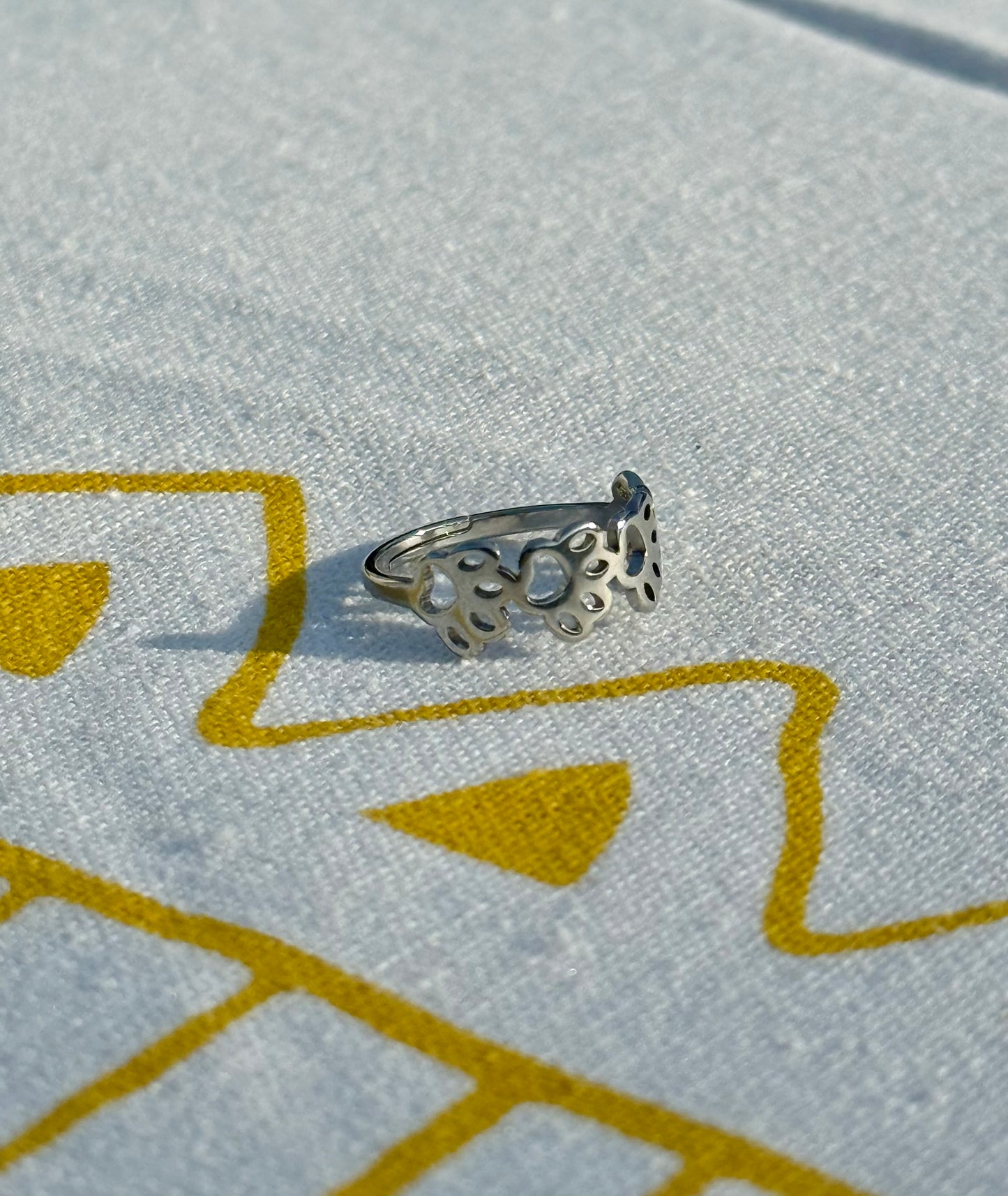 Sandy Paws in Silver + Gold