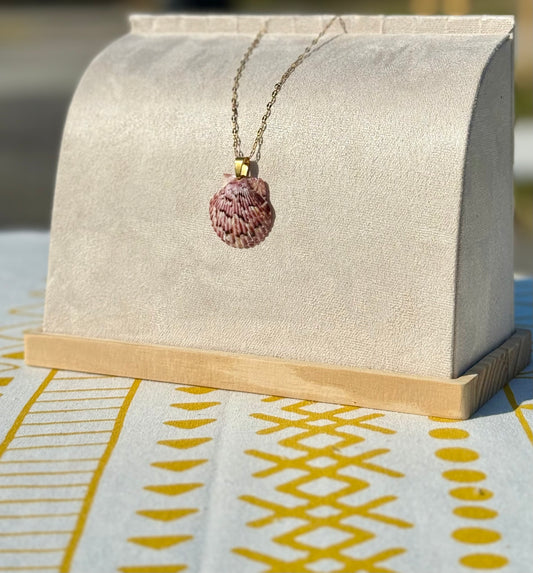 The Current Necklace - Various Seashells