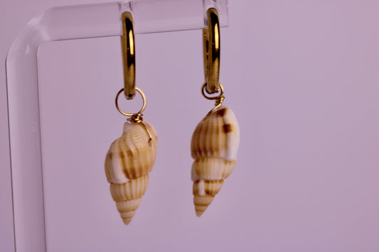 Mini Seashell Sunny Earrings