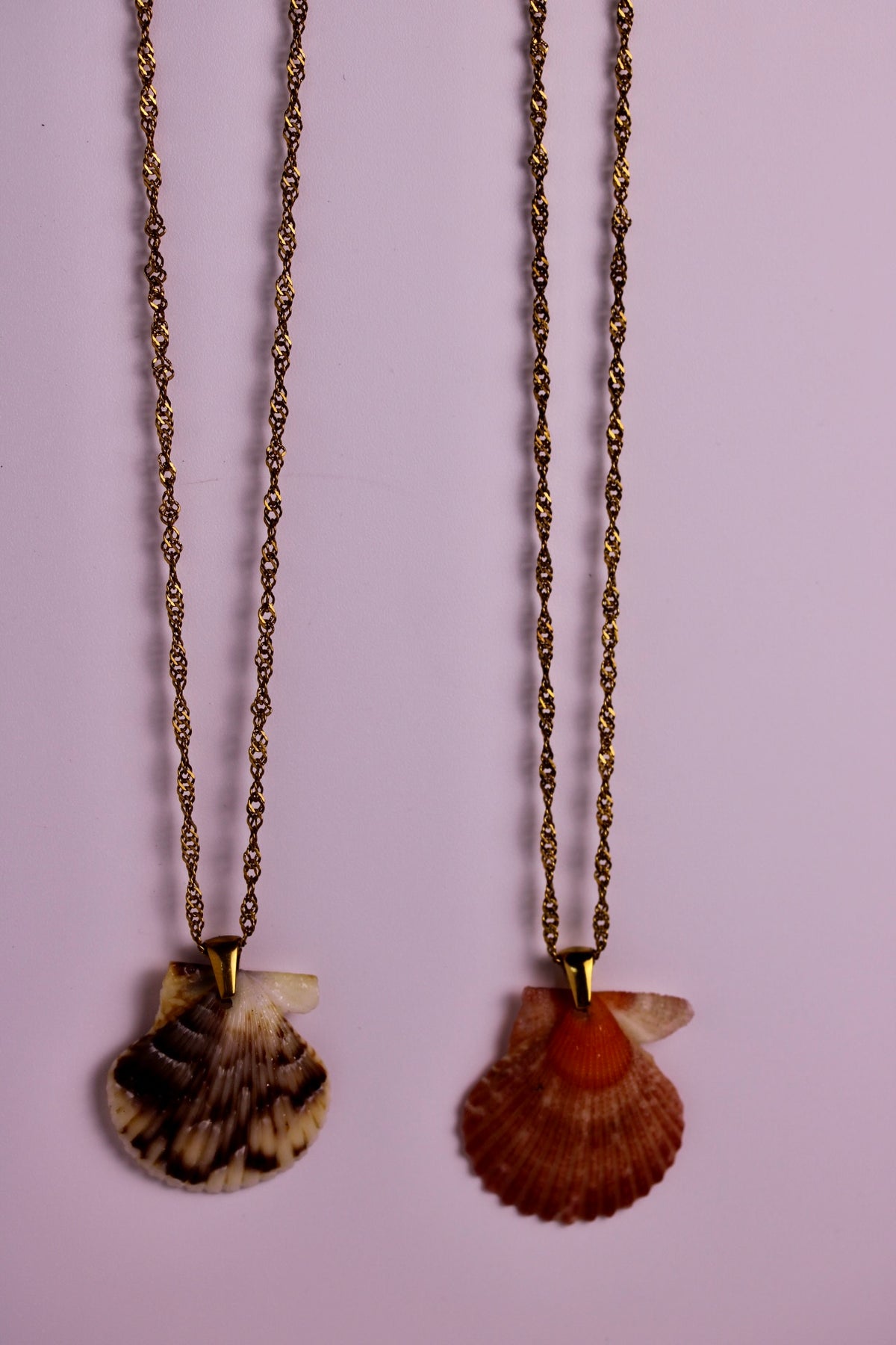 Florida Found Scallop Necklace