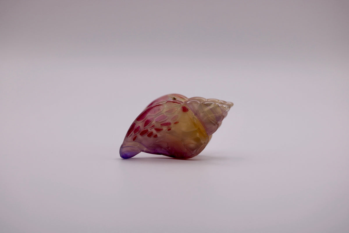 Mini Conch Hair Clips