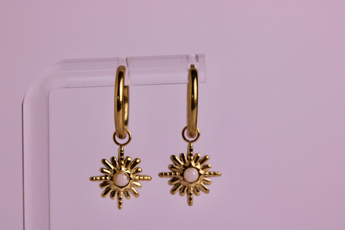 Sun Chaser Hoops