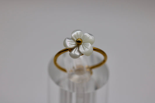 The Caspia Ring