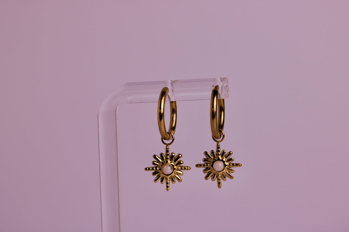 Sun Chaser Hoops