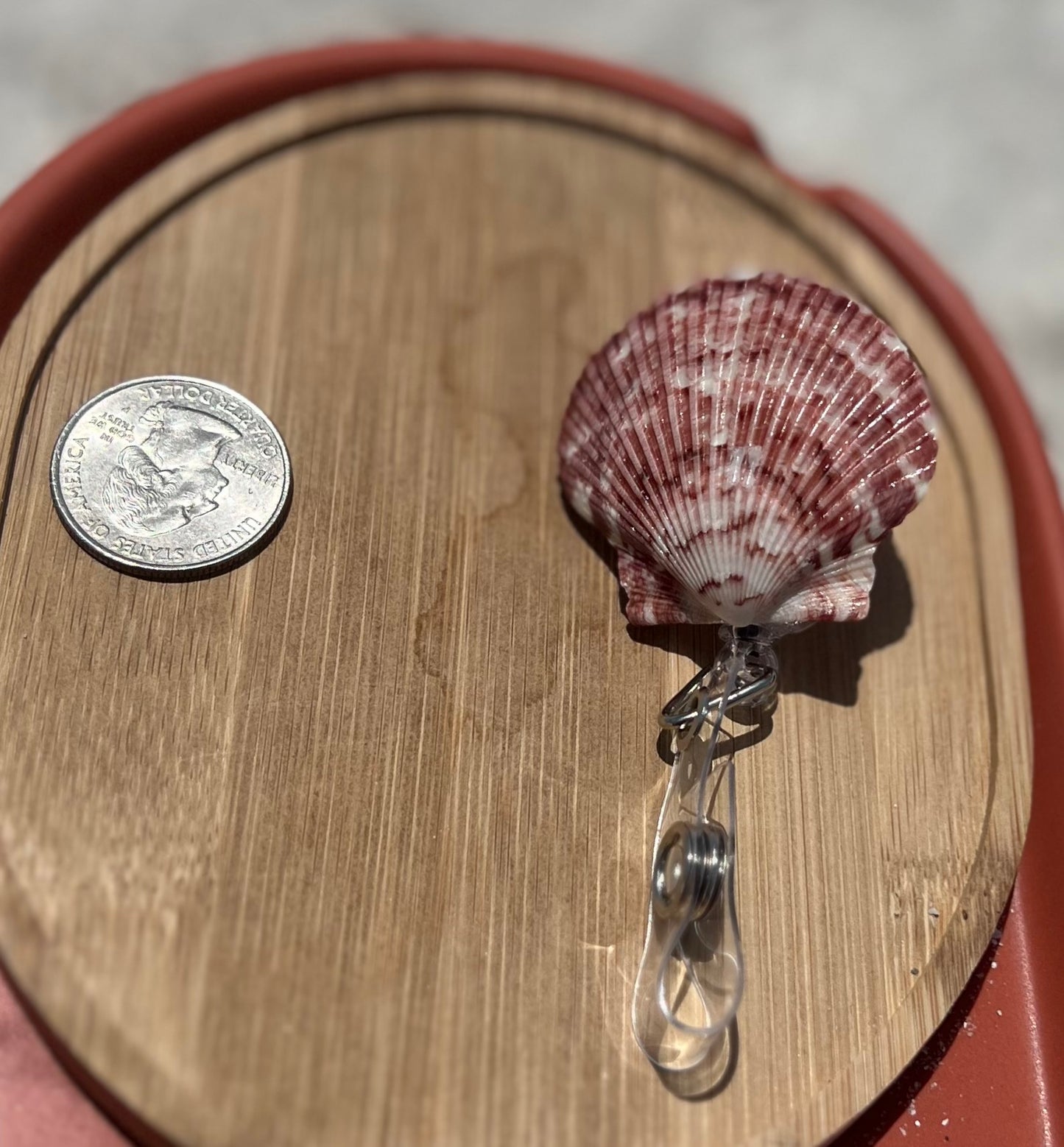 Shell Badge Reel