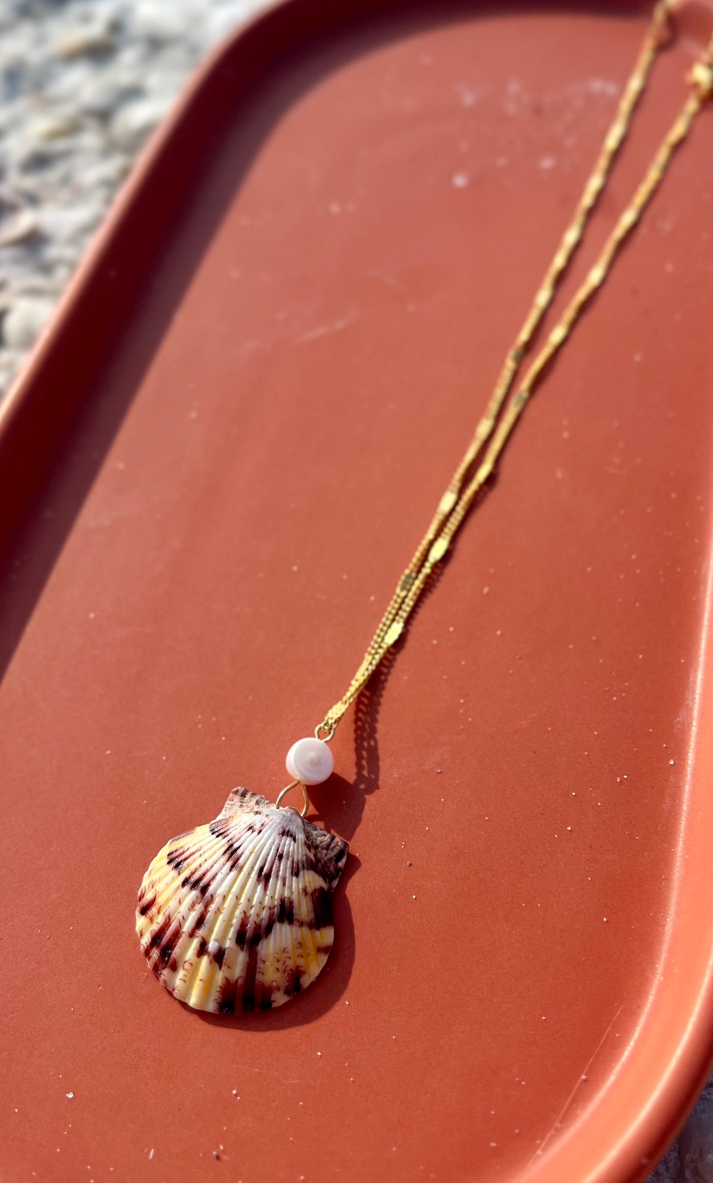 Isle Rare Shell Necklace