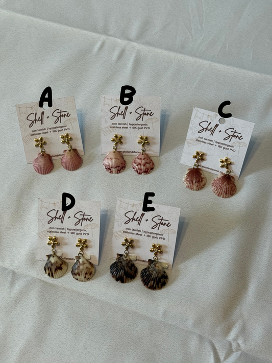 Various Seashell Earrings - Gold Studs