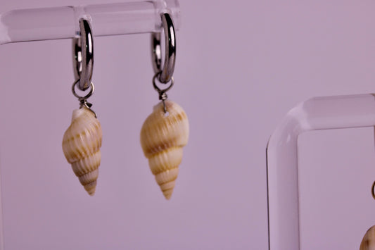 Mini Seashell Sunny Earrings