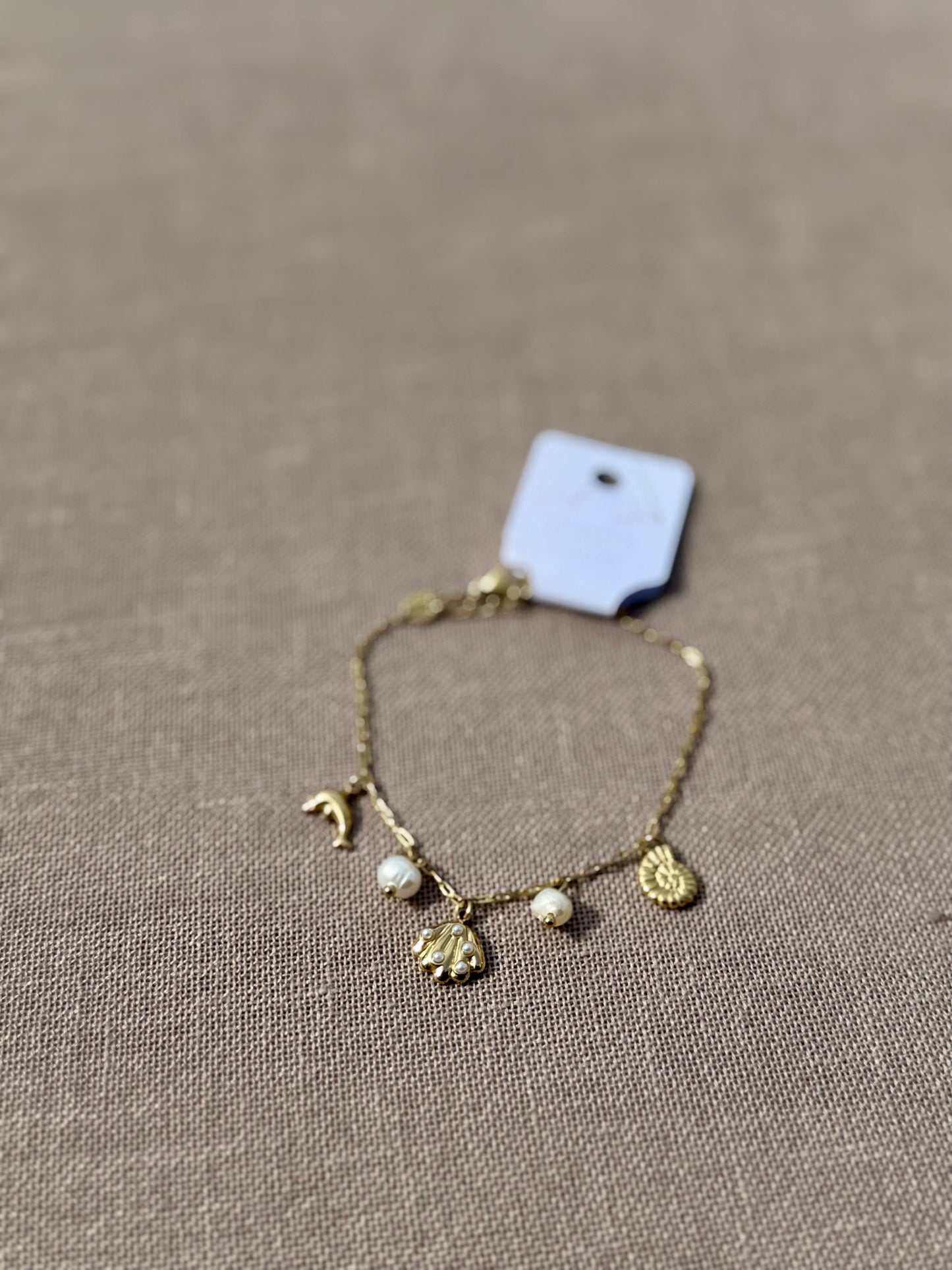 Coast + Charm Bracelet in Silver + Gold