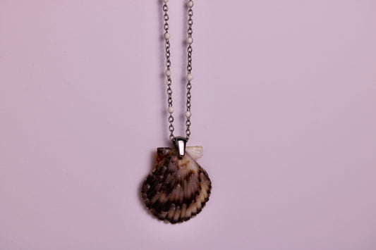 Coastline Scallop Necklace