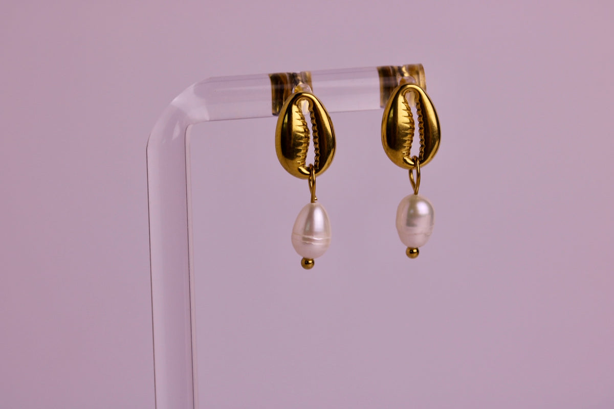Cowrie Coast Studs