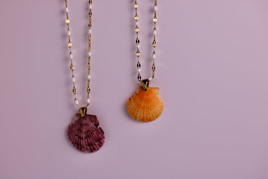 Saltwater Scallop Necklace