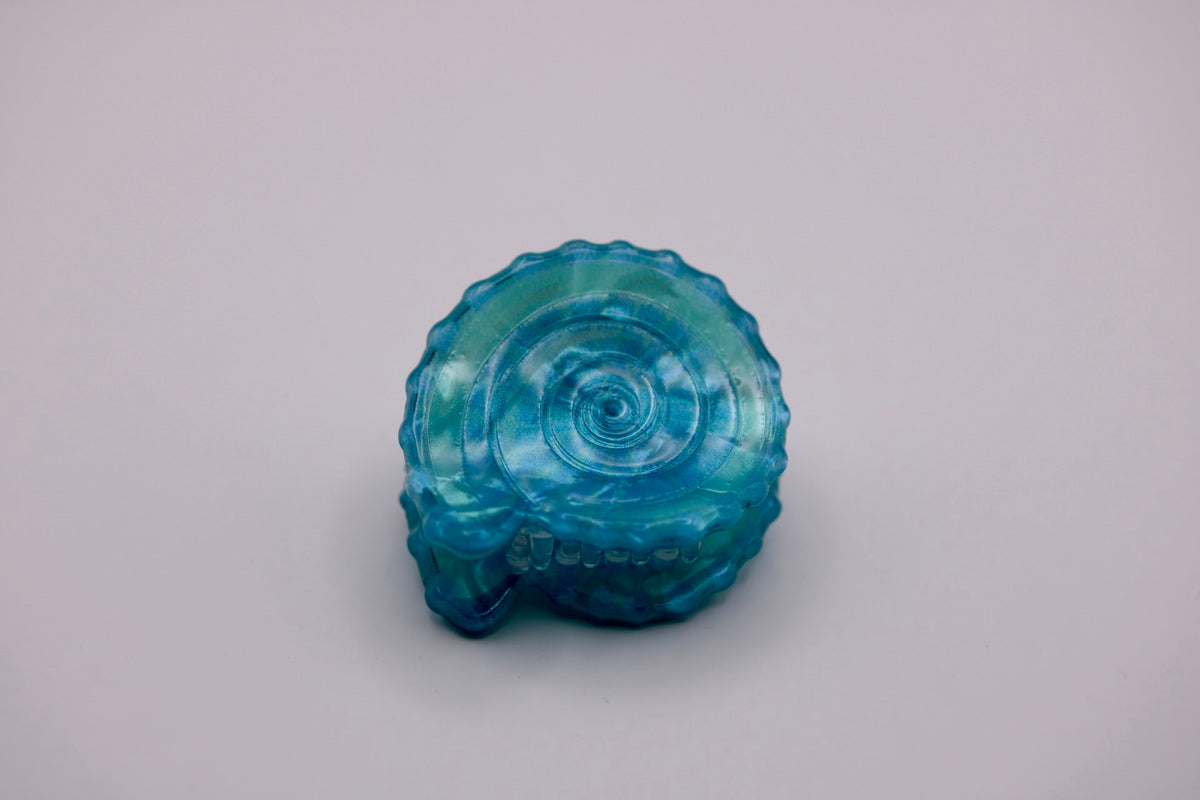 Mini Conch Hair Clips