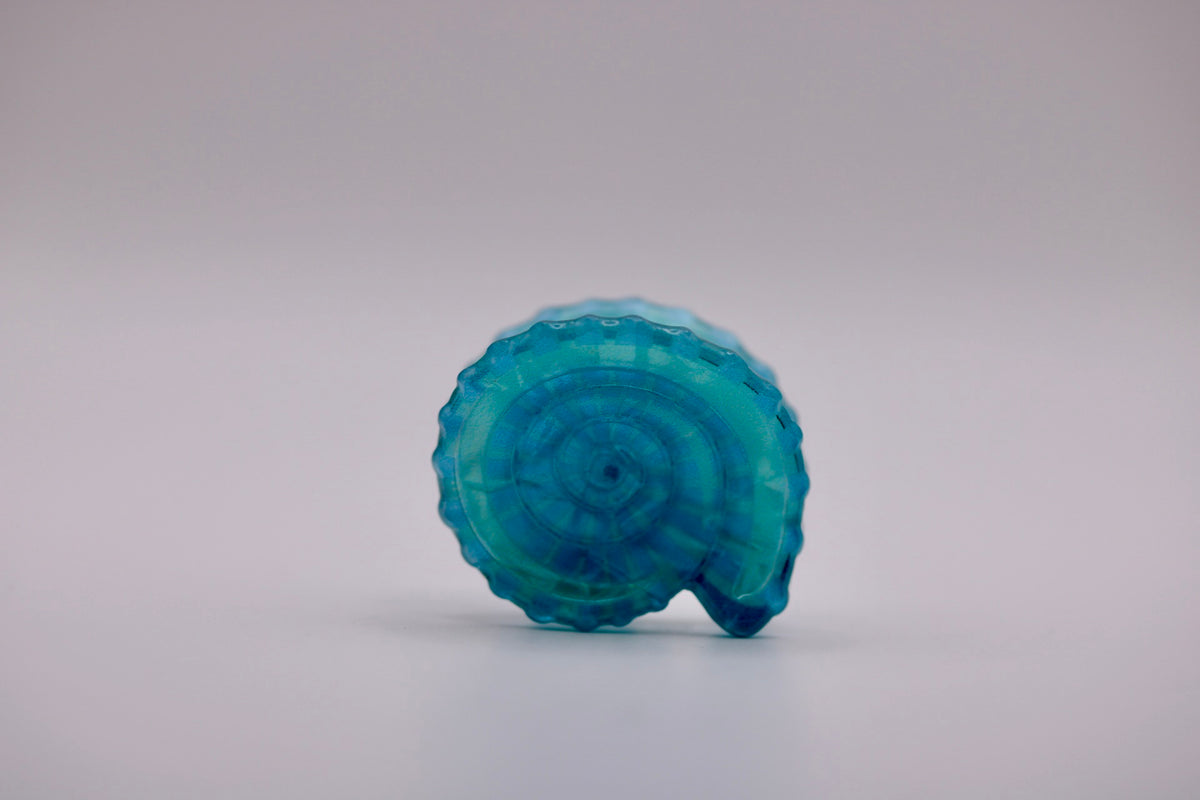 Mini Conch Hair Clips