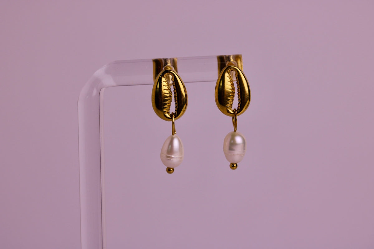 Cowrie Coast Studs