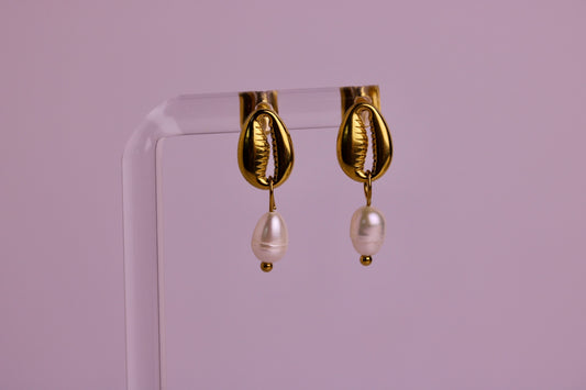 Cowrie Coast Studs