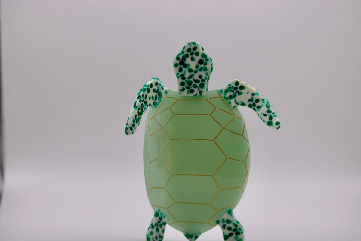 Slow Coast Turtle Hair Clip