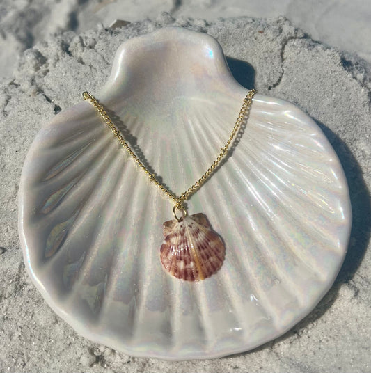 Dainty Sunburst Shell Necklace