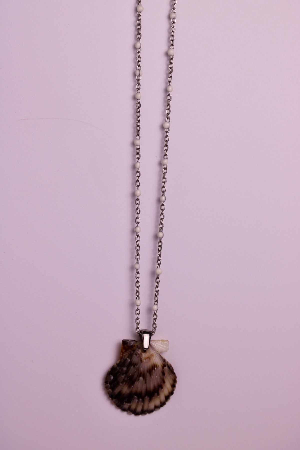 Coastline Scallop Necklace